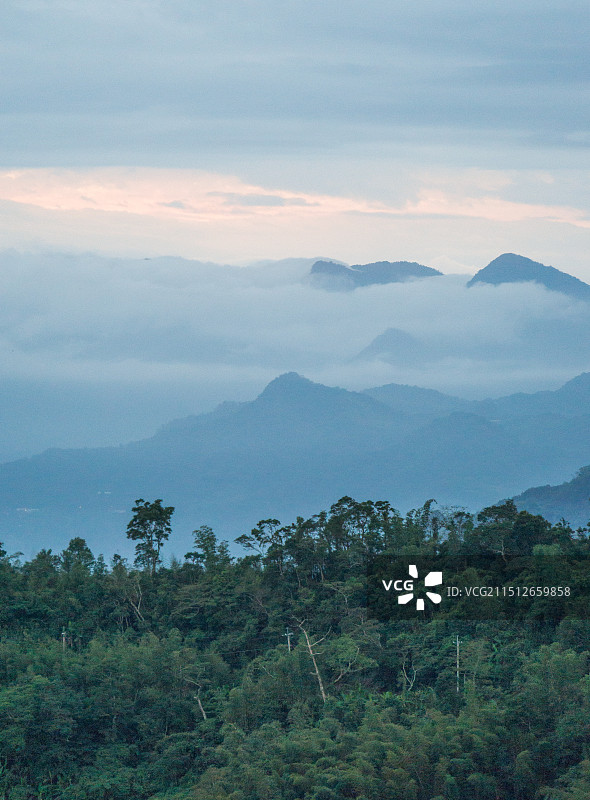 阿里山图片素材