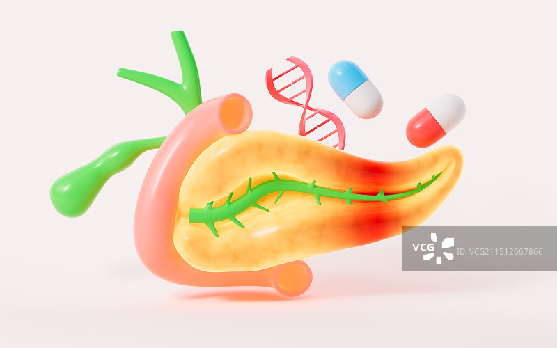 人类胰腺炎胆囊内脏器官与药物治疗3D渲染图片素材