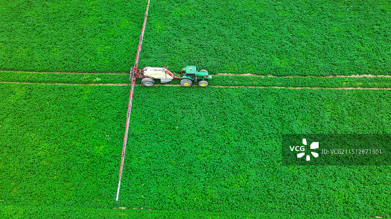 甘肃民乐：夏日田间管护忙图片素材