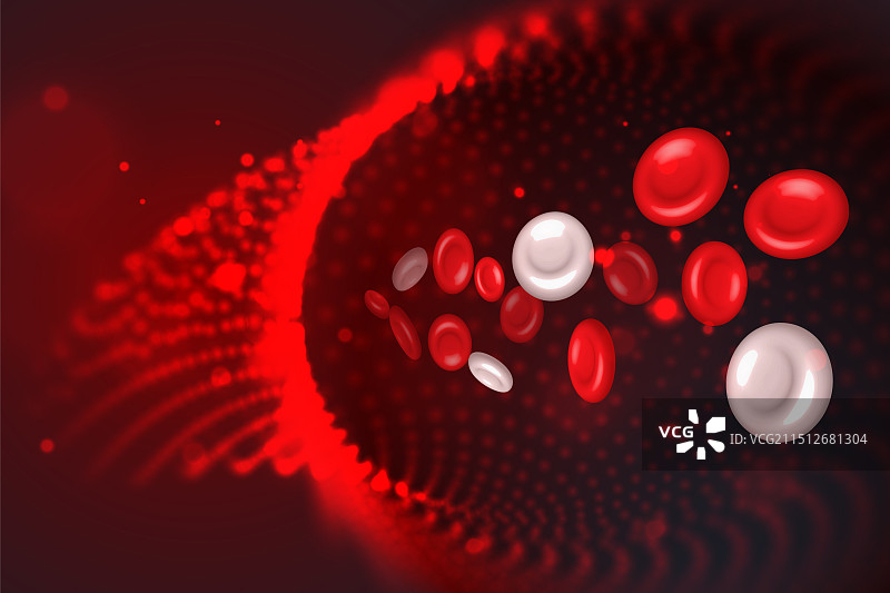 动脉静脉中的红白血细胞图片素材