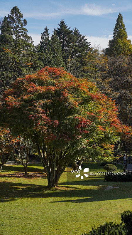 江西庐山图片素材