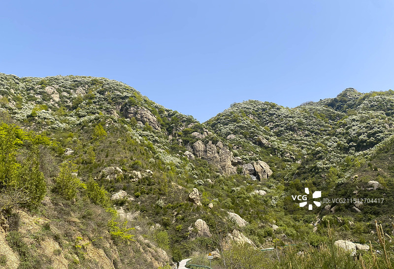 春到秦岭图片素材