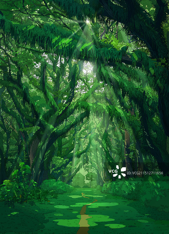 绿野仙踪中的森林图片素材