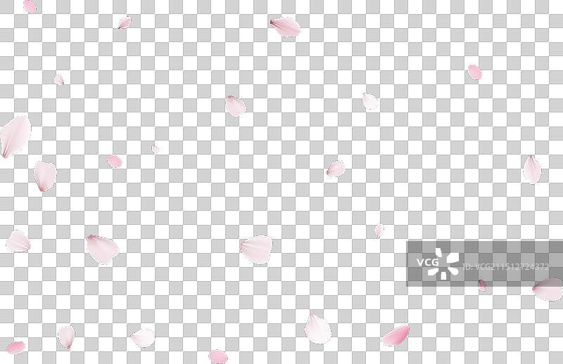 逼真的樱花花瓣图片素材