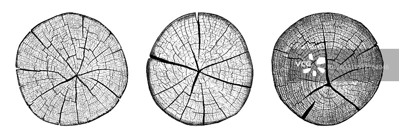 一组做旧的木纹纹理图片素材