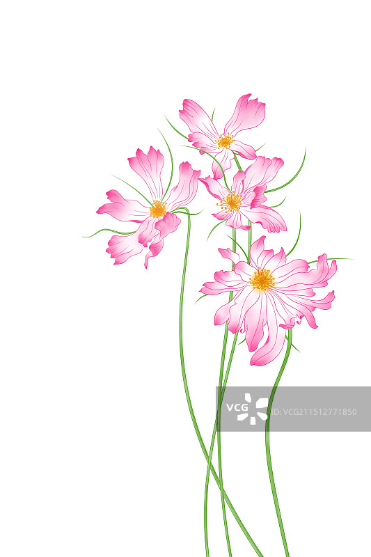 唯美浪漫手绘水彩花朵插画图片素材