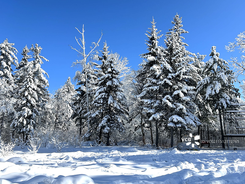 延边冬天雪景蓝天图片素材