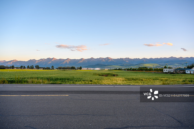 青海门源县油菜花海自驾游图片素材