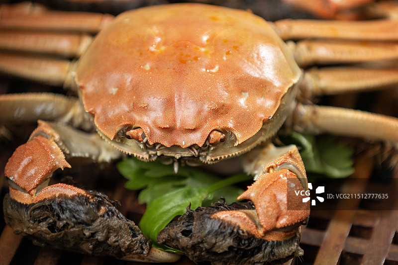 高视角下中秋节的美味阳澄湖大闸蟹熟食摆盘特写图片素材