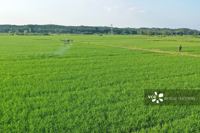 夏日农事忙图片素材