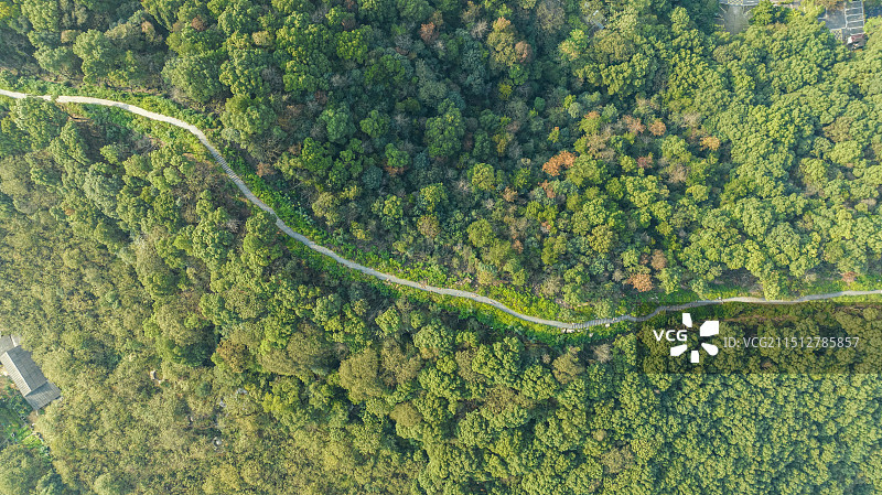 曲径通幽图片素材