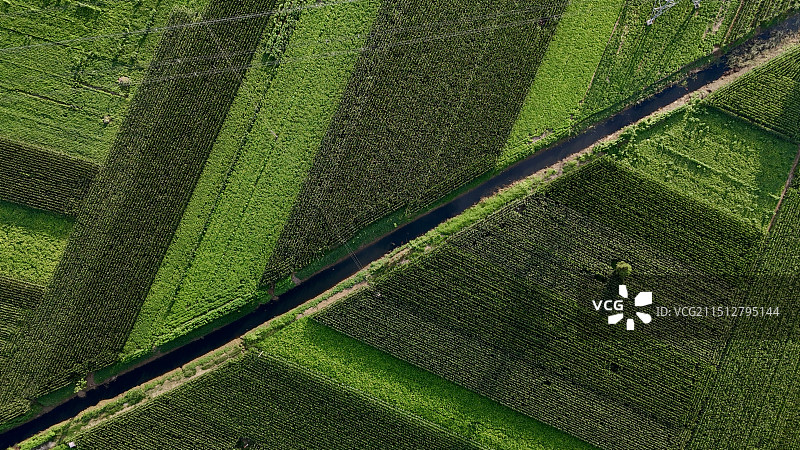 农业领域的高角度视角图片素材