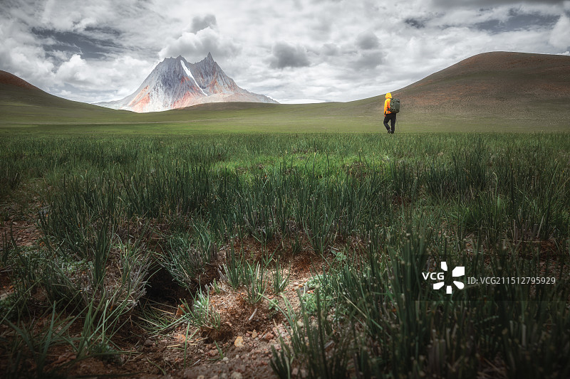 路过地鼠先生家，走向多则布图片素材