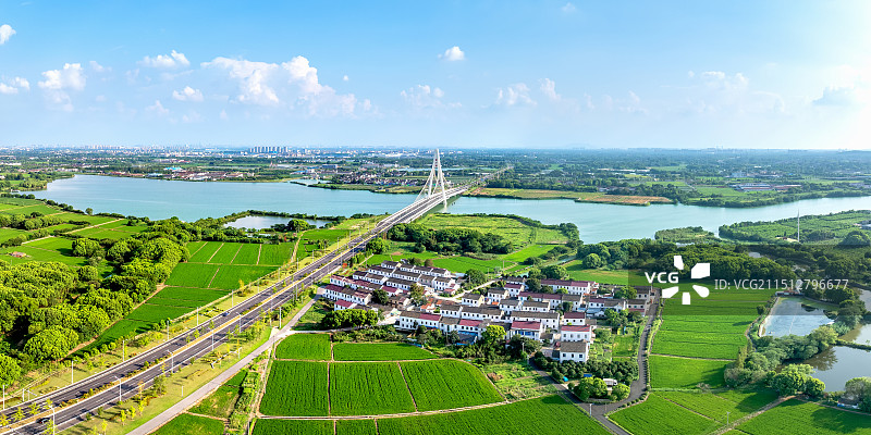 无锡宛山湖大桥湿地稻田图片素材