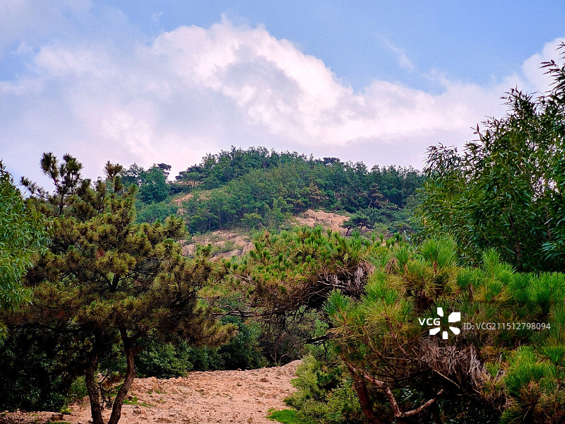 夏至时节，莒县屋楼崮山上看云图片素材
