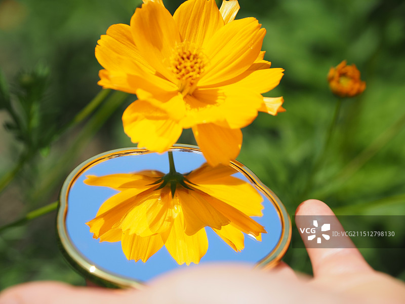 公园绿色图片素材