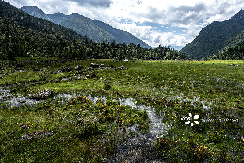 四川甘孜九龙县日鲁库湿地草甸图片素材