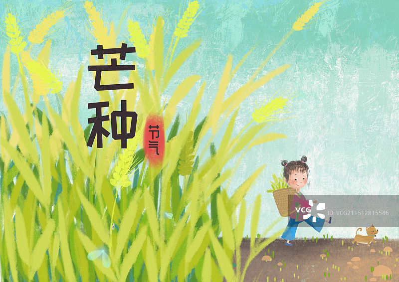 芒种节气图片素材