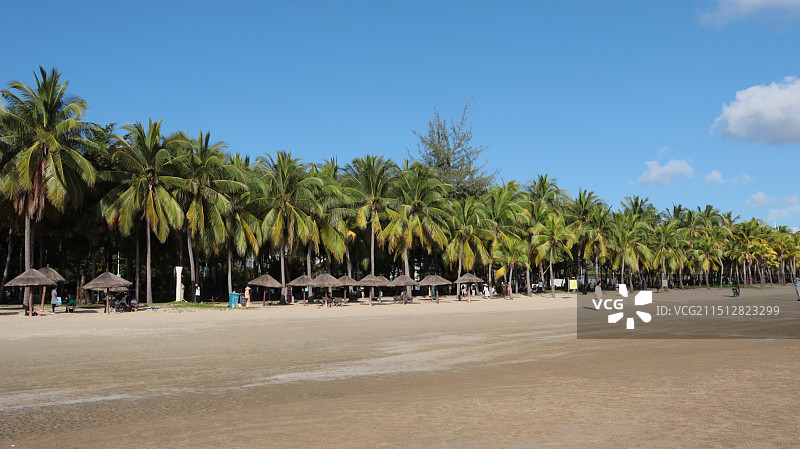椰林海滩图片素材