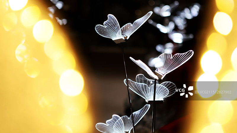 发光蝴蝶图片素材