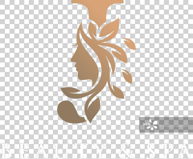 具有创意美学概念的字母标志图片素材