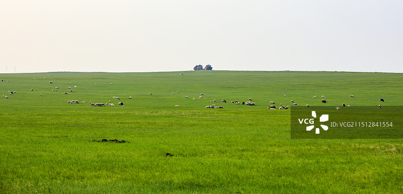 夕阳下的内蒙古自治区呼伦贝尔市新巴尔虎右旗巴尔虎草原的自然风光图片素材