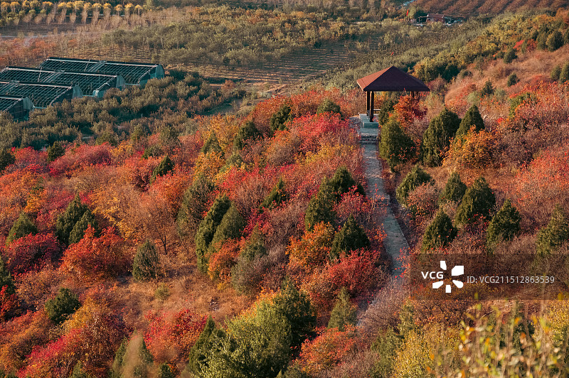 深秋的五彩千山图片素材