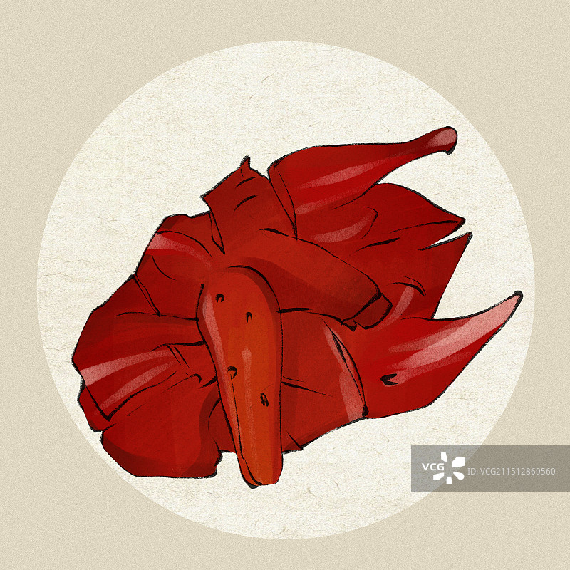 樟茶板鸭-四川成都市传统名小吃传统美食土特产手绘插画图片素材