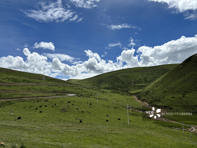 风吹草低见牛羊图片素材