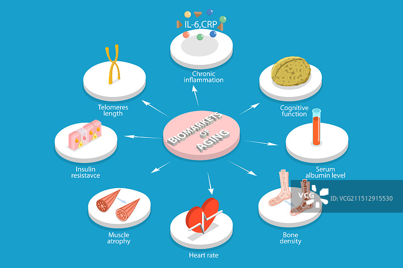 2.5D等距扁平风格的衰老图片素材