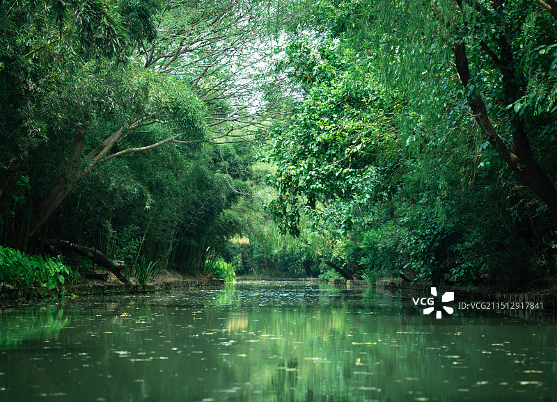 同理国家湿地公园图片素材