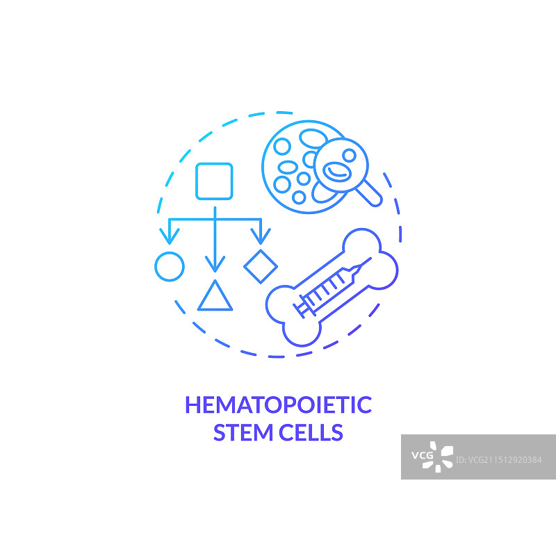 造血干细胞渐变细线图标图片素材