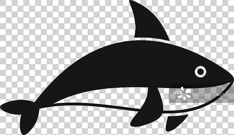 黑白风格的虎鲸图片素材