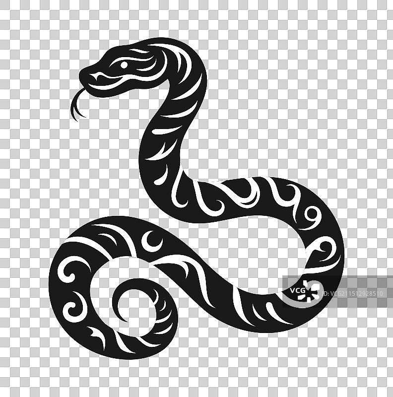 白色背景上的黑色花纹蛇图片素材