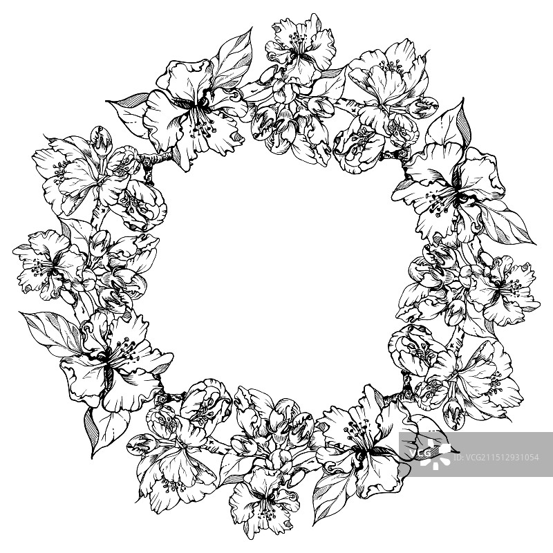 手绘水墨苹果花枝叶图片素材