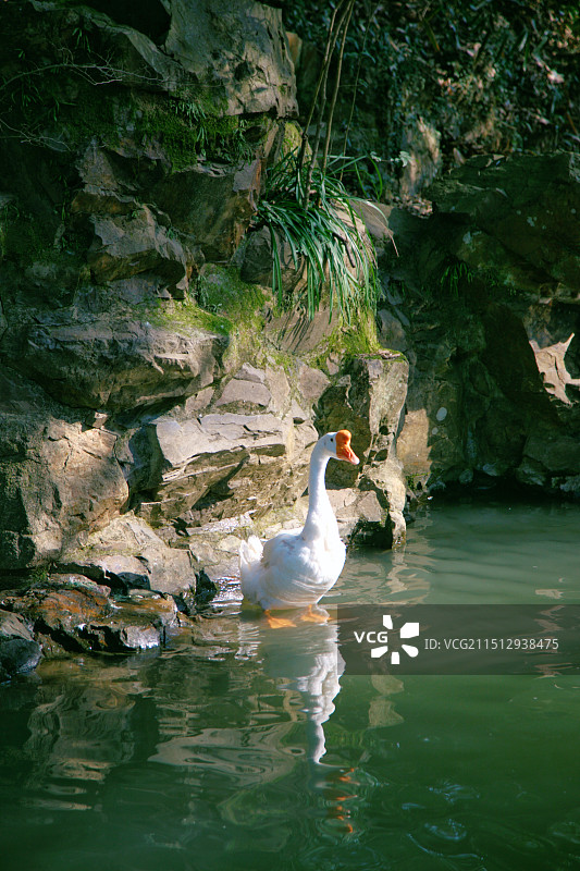 浙江省绍兴市市辖区兰亭景区图片素材