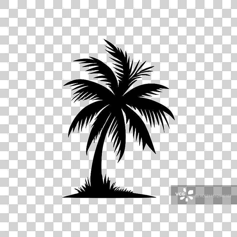 棕榈树黑色椰子图标图片素材