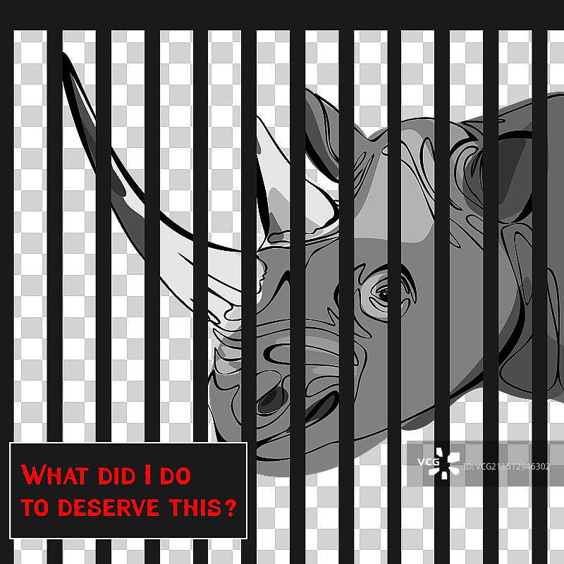 抗议制止动物虐待图片素材