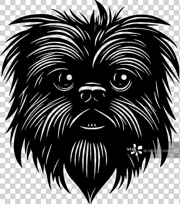 黑白色的猴面犬图片素材