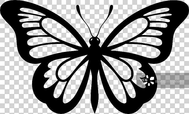 蝴蝶-极简主义和扁平的标志图片素材