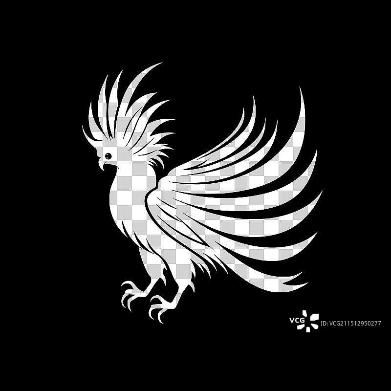 高品质的鹦鹉标志，适用于T恤图片素材