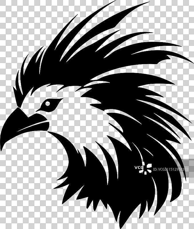 黑白鹦鹉图片素材