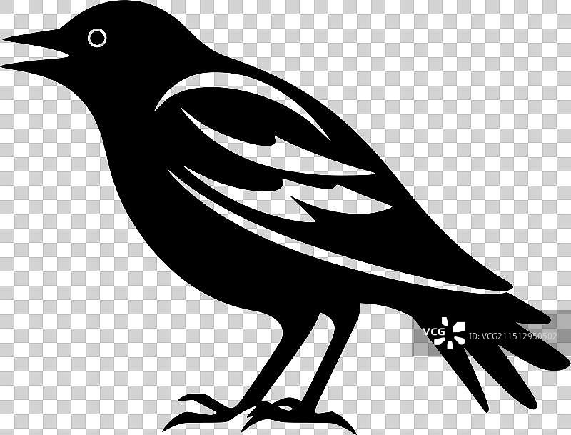 乌鸦黑白剪影图标图片素材