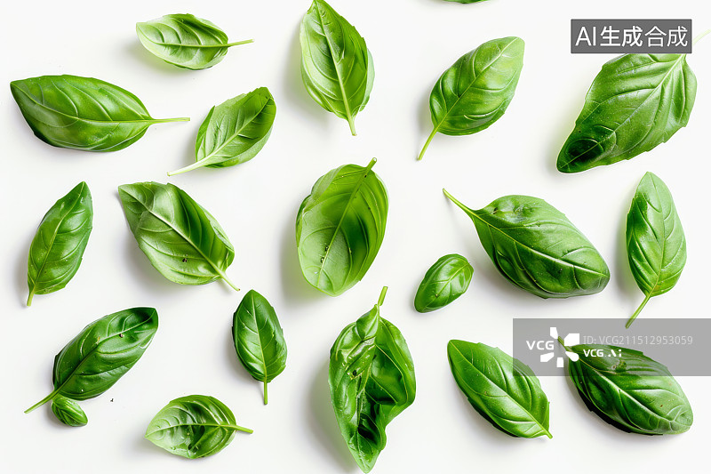 【AI数字艺术】新鲜罗勒叶子的平铺展示图片素材