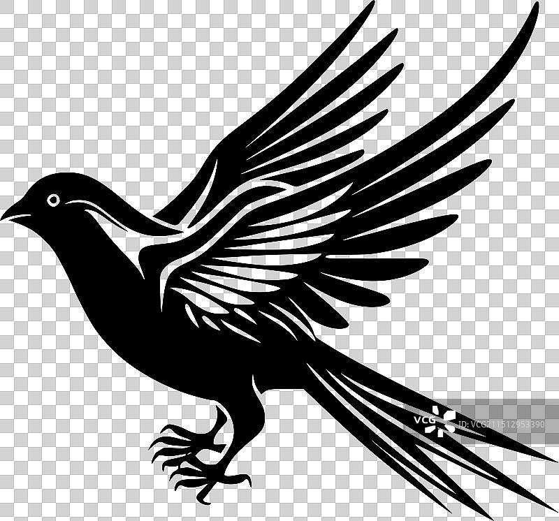 鸽子 - 黑白图片素材