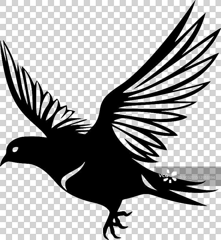 鸽子 - 黑白图片素材