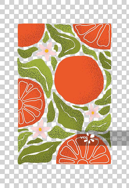 手绘彩色抽象柑橘水果图片素材