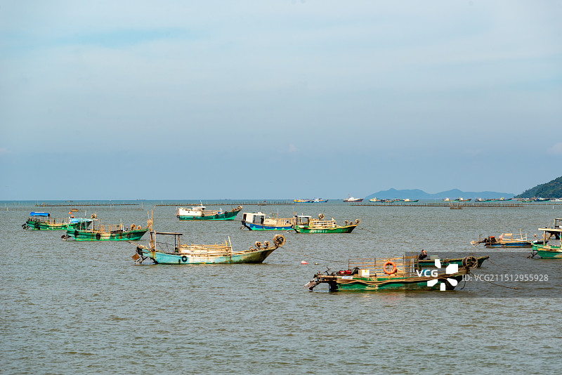 广东省阳江市海陵岛东岛西侧浅海中的渔船图片素材