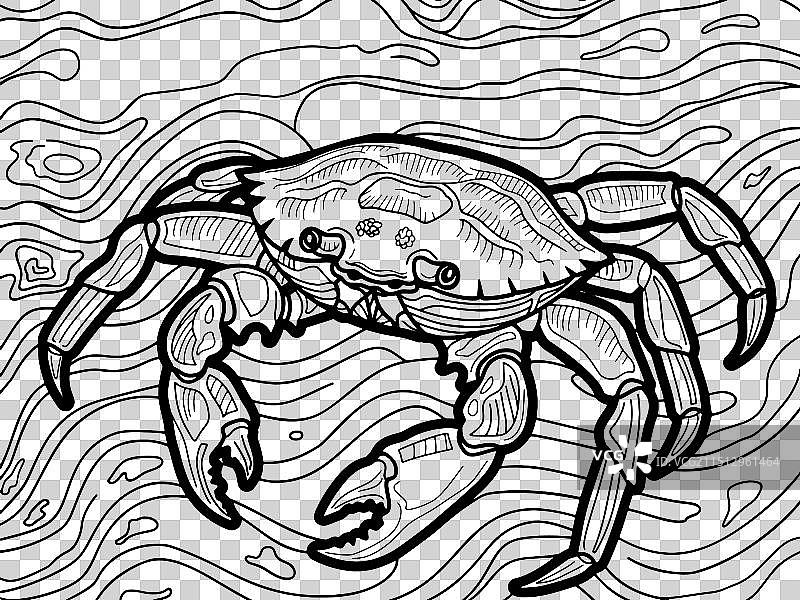 儿童解压海洋涂色本图片素材