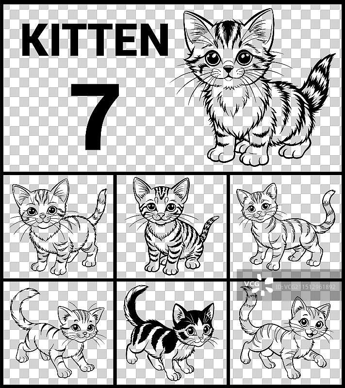 小猫轮廓细节图图片素材